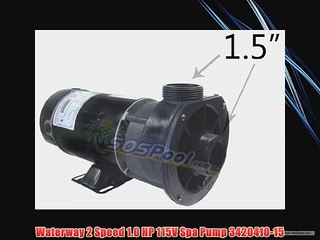 Waterway 2 Speed 1.0 HP 115V Spa Pump 3420410-15