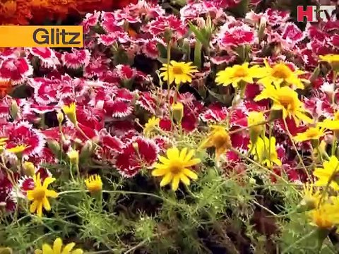 Glitzs - 64th Pakistan Annual Flower Show 2015 - Sea View Park