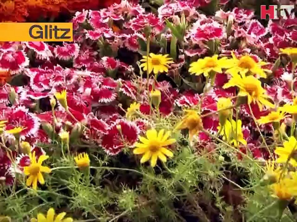 Glitzs - 64th Pakistan Annual Flower Show 2015 - Sea View Park