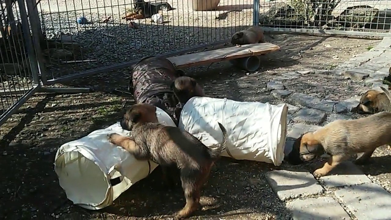 Be Aware H's @ Kleine Tunnelingenieure!