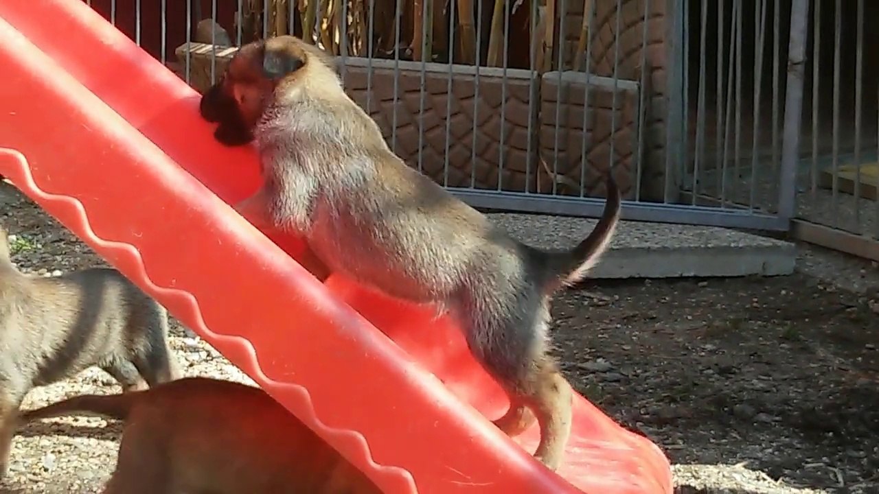 Be Aware H's @ Rutschpartie!