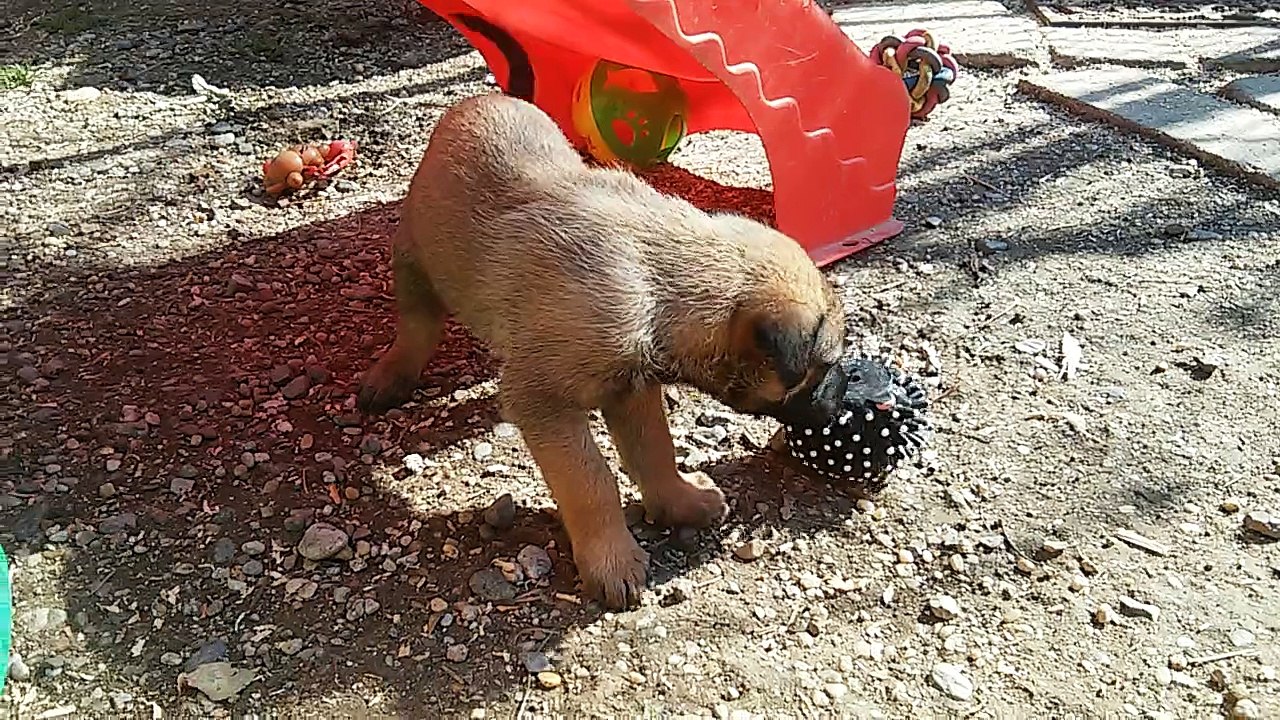 Be Aware H's @ Tasty??!!!