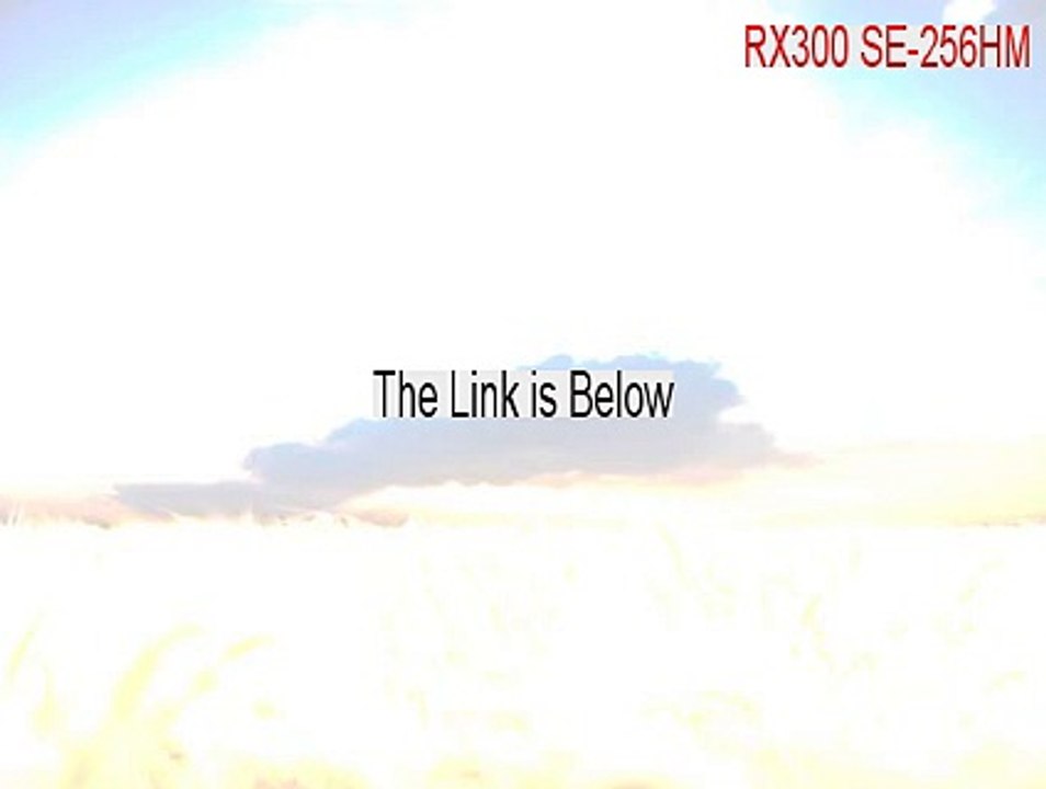 RX300 SE-256HM Free Download [Download Here]