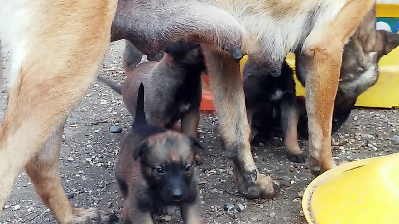 Be Aware H's @ Süsse Früchte!