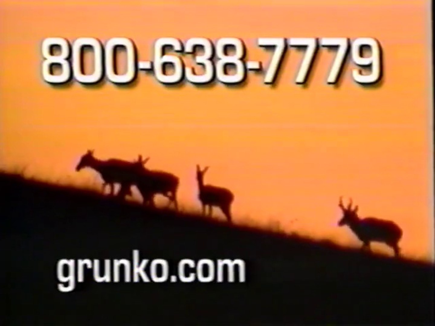 Grunko Films - Experience the Wild Preview (Version 2)