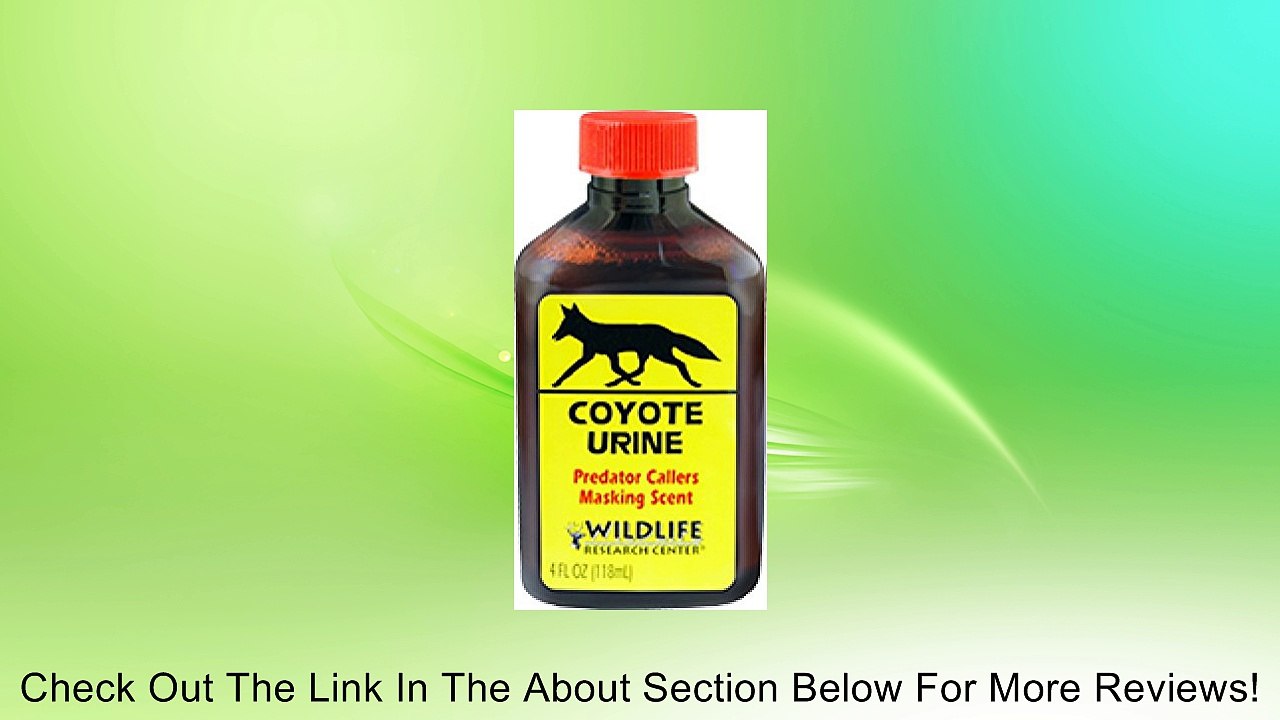 Wildlife Research 523 Coyote Urine Review