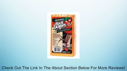 Wild Persimmon Buck Lickers Flavored Salt Block Review