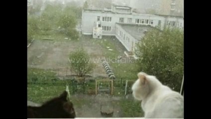 Wow - Romantic Weather and Romantic Couple - Awesome