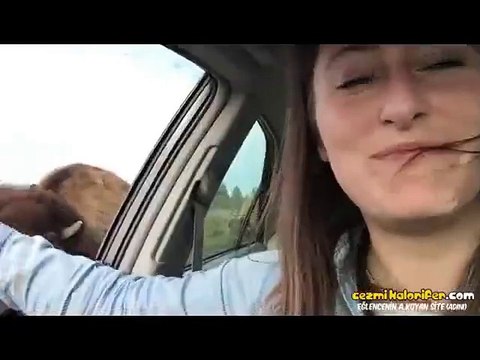 Önce Yemeğini Yiyip Sonra Hatunu Yalamaya Çalışan...