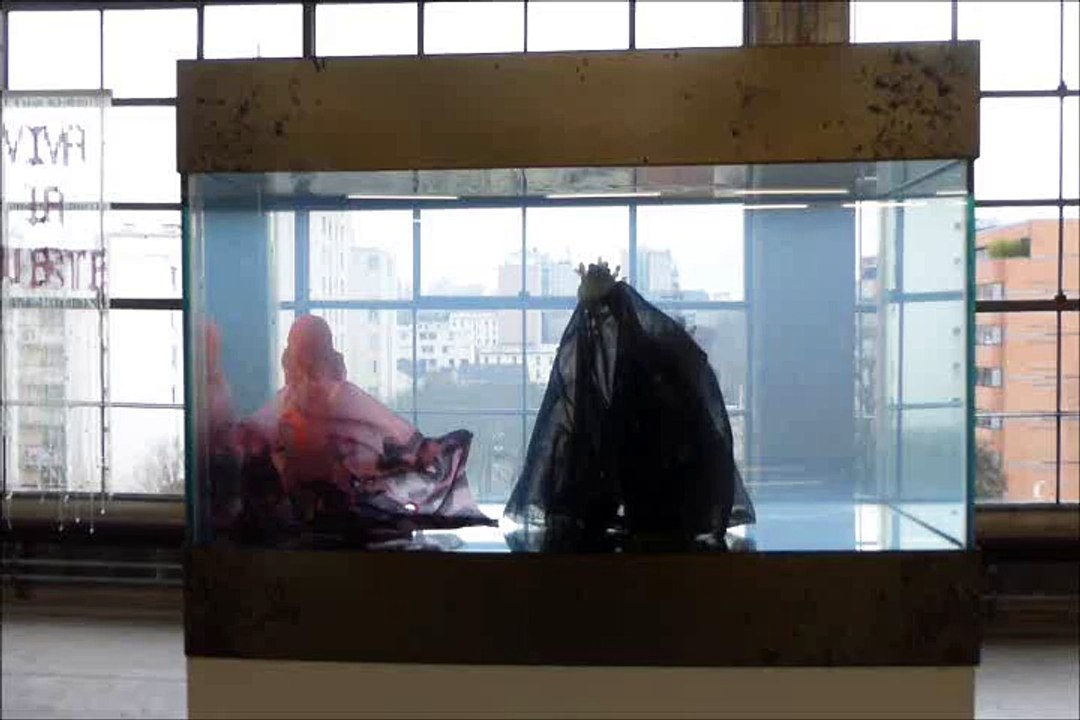 Les Créatures de Bruno Pélassy