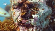 Underwater artist Jason deCaires Taylor | Euromaxx