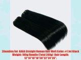 Angel_Halo #1 Jet Black 2Bundles/Lot Remy India Human Hair Extensions DIY Weft Straight Full