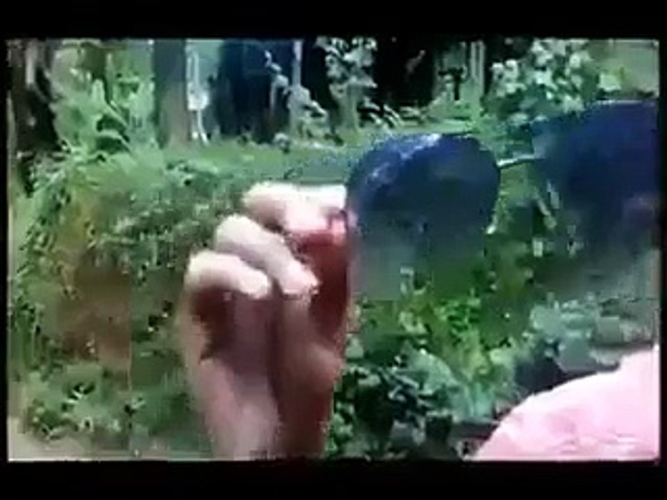 funny clip
