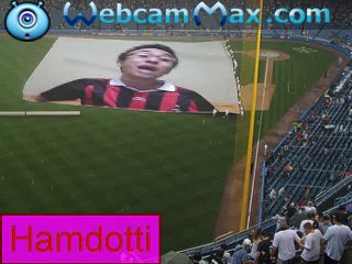 hamdotti  #dog story