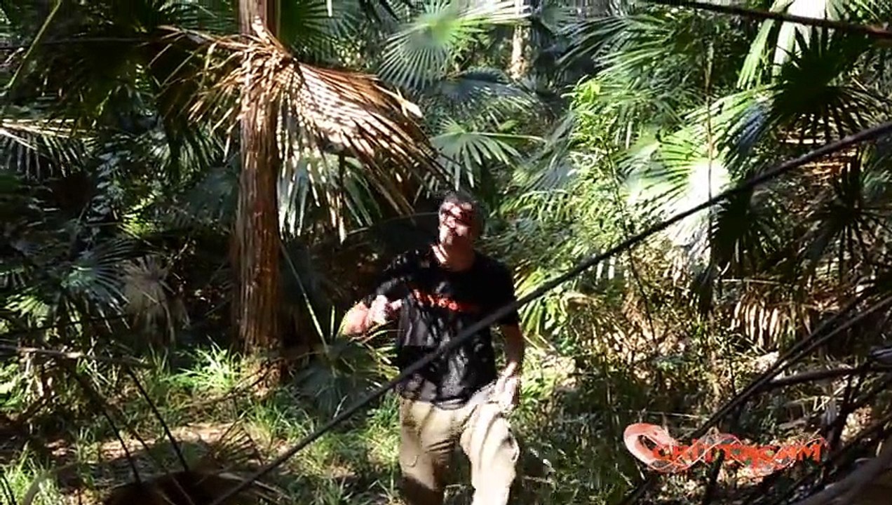 Man Vs Bush    CrittaCam