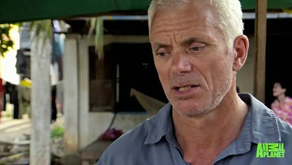 trailer monstros do rio 7 temporada animal planet estados unidos