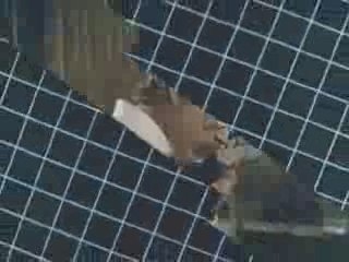 Générique Supercopter