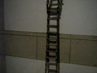 Echelle & Coccinelle