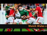 watch Wales vs Ireland 6 nations rugby streaming >>>>>