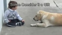Sweet Dog Interacting With A Beautiful Child With Down Syndrome