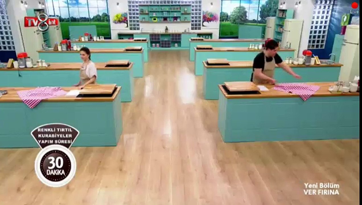 tırtıl 13