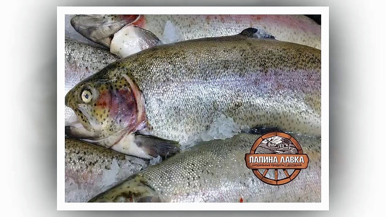 Свежая форель  Икра свежая из форели Воронеж