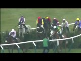 Carnage at Cheltenham as horses knock over photographer_xvid