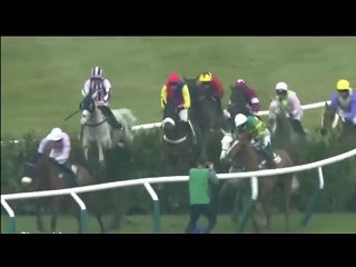 Carnage at Cheltenham as horses knock over photographer_xvid