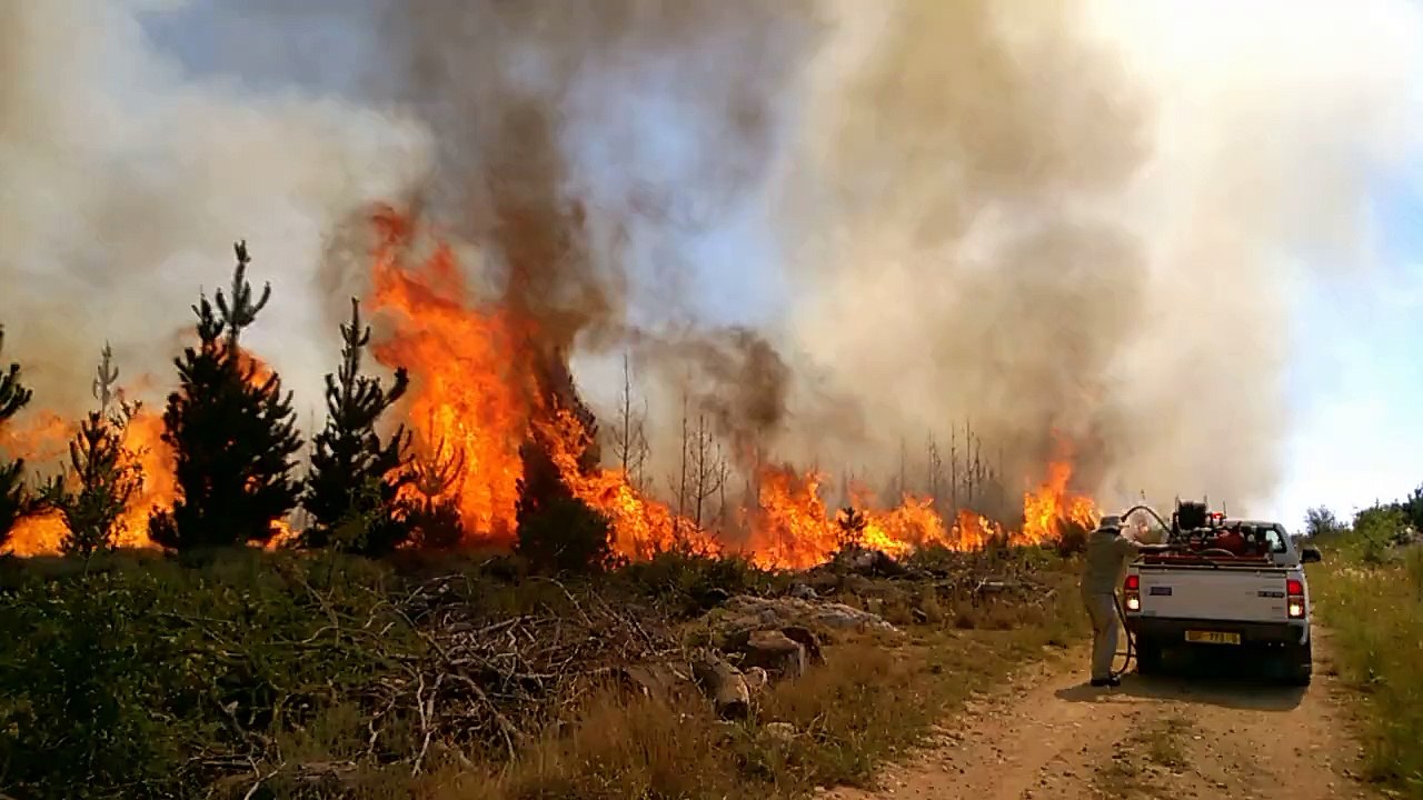 Jonkershoek on fire