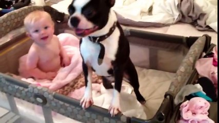 Bebeğin Yatağından Çıkmayan Köpek