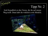 Drei Tipps zur Fotografie, die man besser nicht zu ernst nehmen sollte