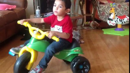 Pitbull'un Bebek Sevgisi