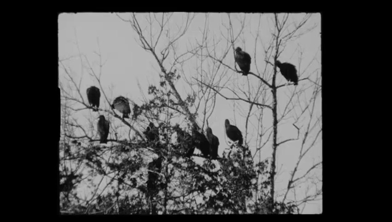 J. S. Bach : “Jesus Christus, unser Heiland, der den Tod überwand”, BWV 626 (Helmut Walcha, 1952)