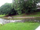 River in Mauritius at belle rose part 5