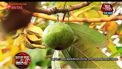 Abhi-Pragya Ka Hara-Bhara Jungle Romance – Kumkum Bhagya