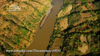 ‫وثائقي - الحياة البرية في النيل - نهر الملوك HD‬