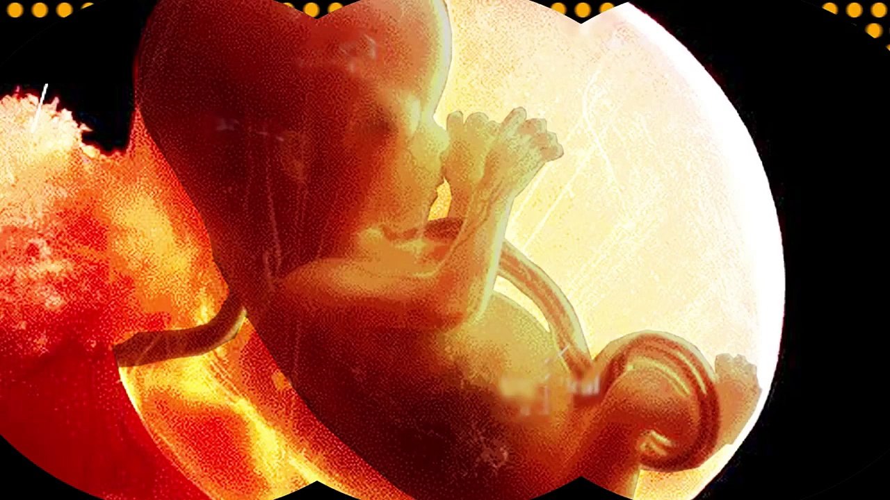 İntihar edən hüceyrələr