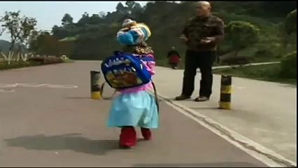 Dog in a Dress Goes for a Walk like a man