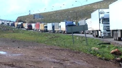 Cilvegözü'nde Yoğunluk