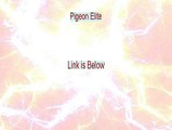 Pigeon Elite PDF Download [Download Here]