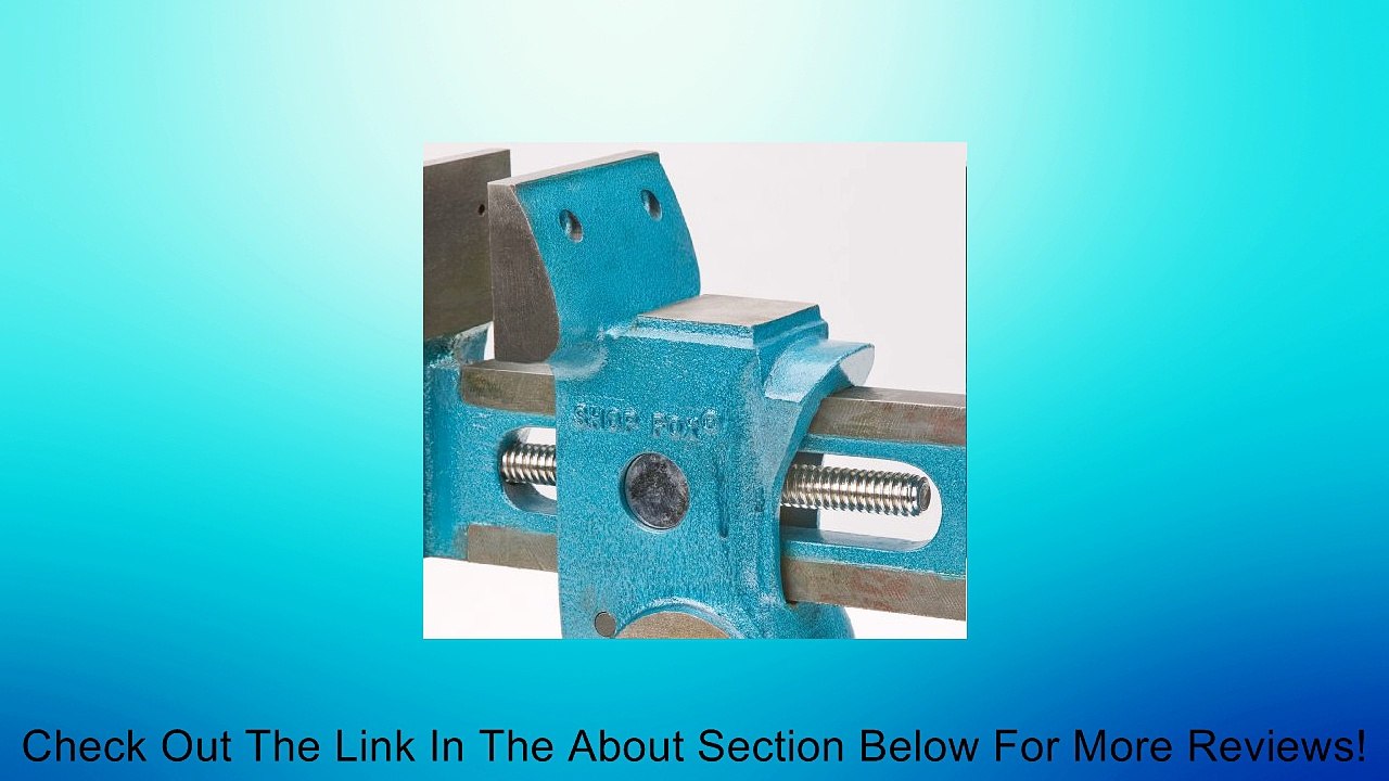 Shop Fox D3125 Parrot Vise Review