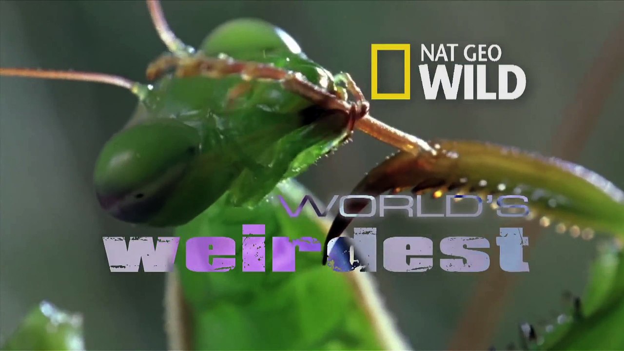 World's Weirdest - Weird Killer of the Deep
