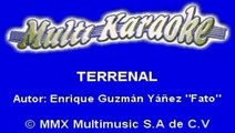 Julion Alvarez - Terrenal  (Karaoke)