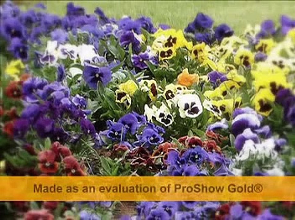 ibrahim erkal-aklımdasın