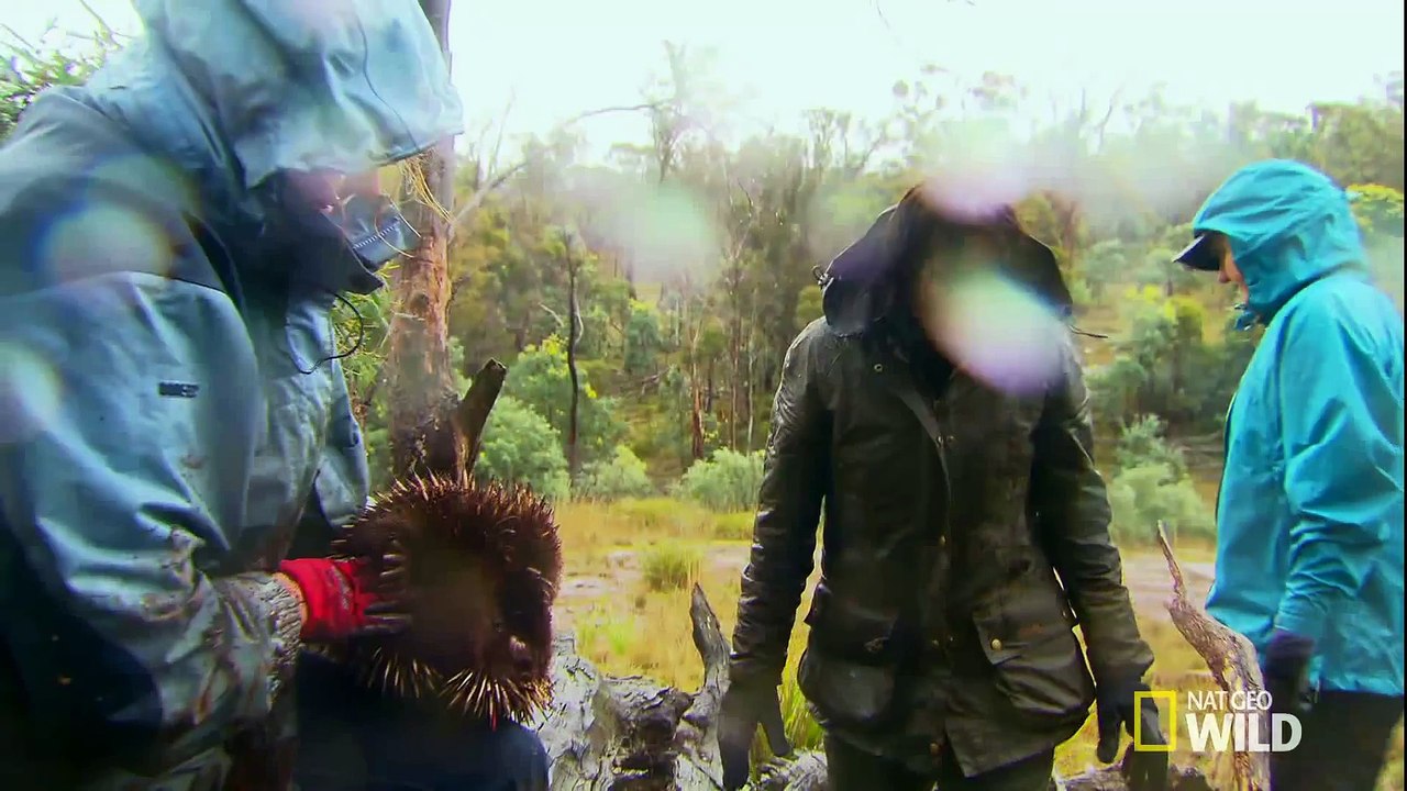 World's Weirdest Penis