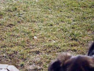 Elka s'éclate encore et toujours