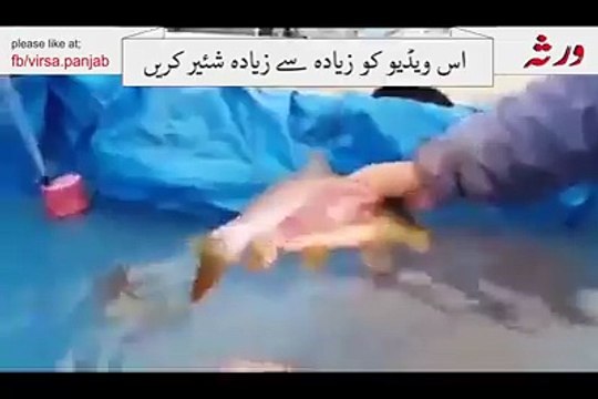 VID-20150313-WA0038.mp4