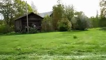 Dog Mowing Lawn | Funny Videos