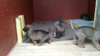 Be Aware H's @ New Surprises