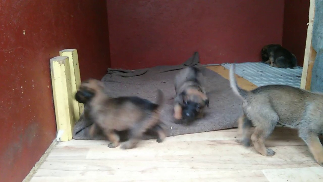 Be Aware H's @ New Surprises